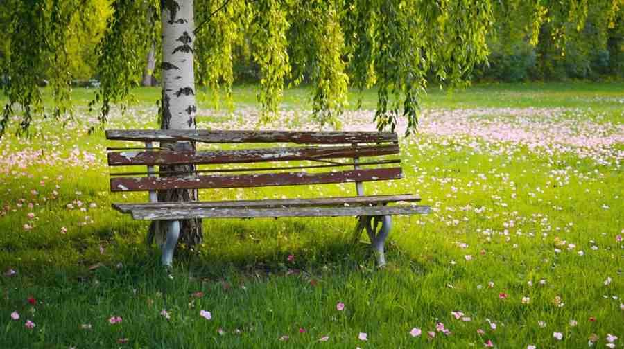 A Garden Full of Memory