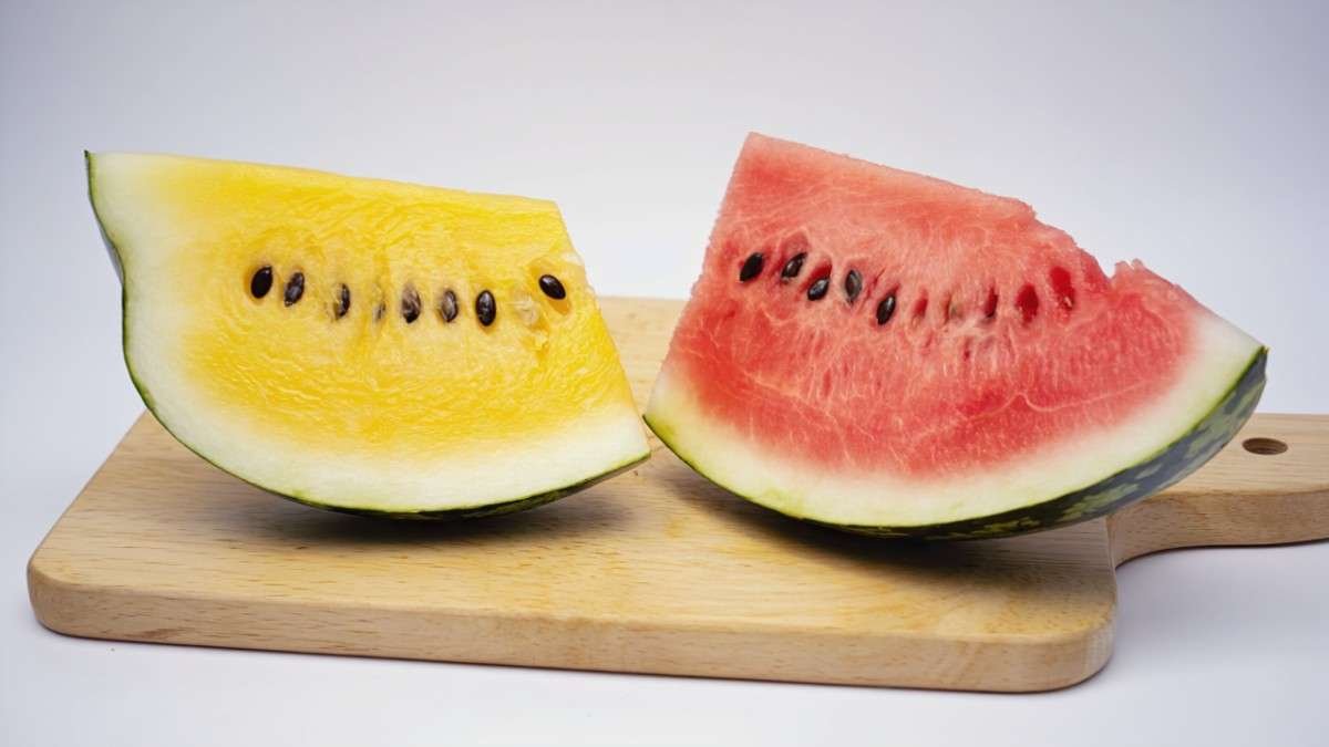 Why Yellow Watermelon Tastes Sweeter