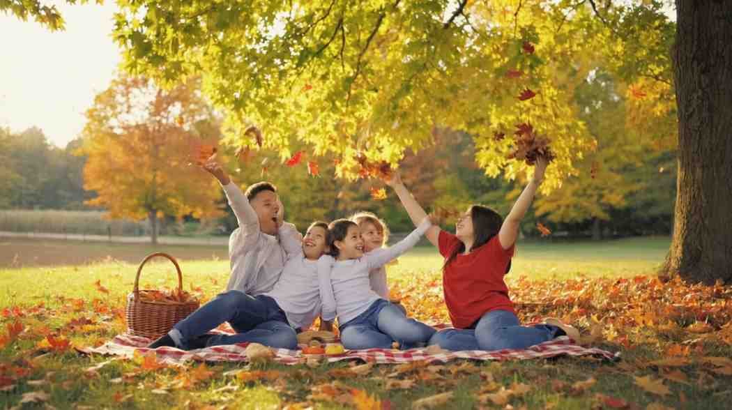 Celebrating Fall with Celebration Maple A Personal Tradition