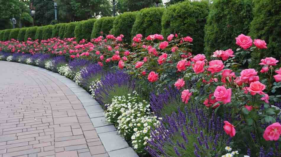 Dealing with Pests – The Uninvited Guests