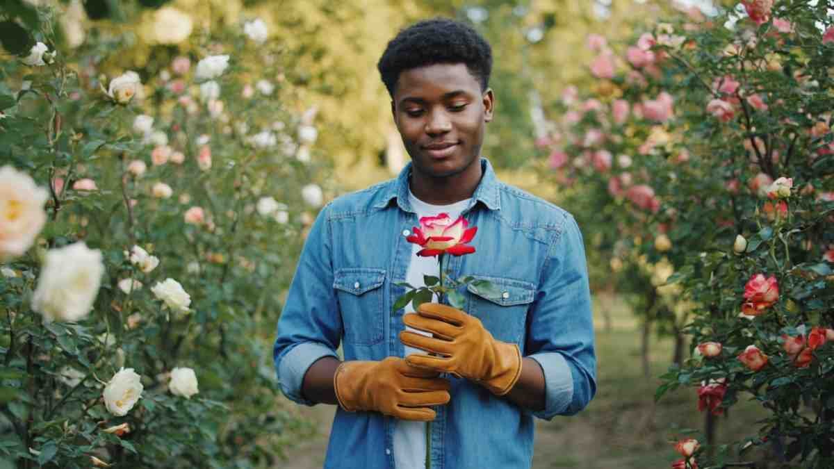 Final Advice for Gardeners