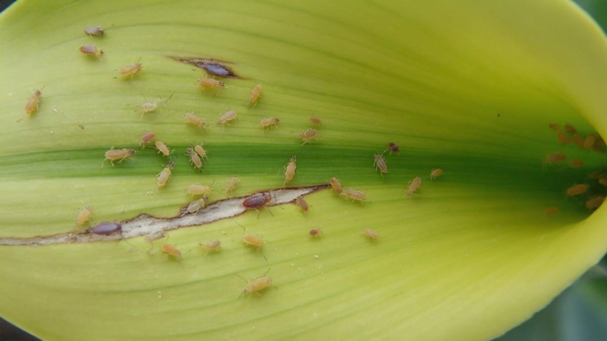 It’s Not Always Your Fault (But Sometimes It Is)