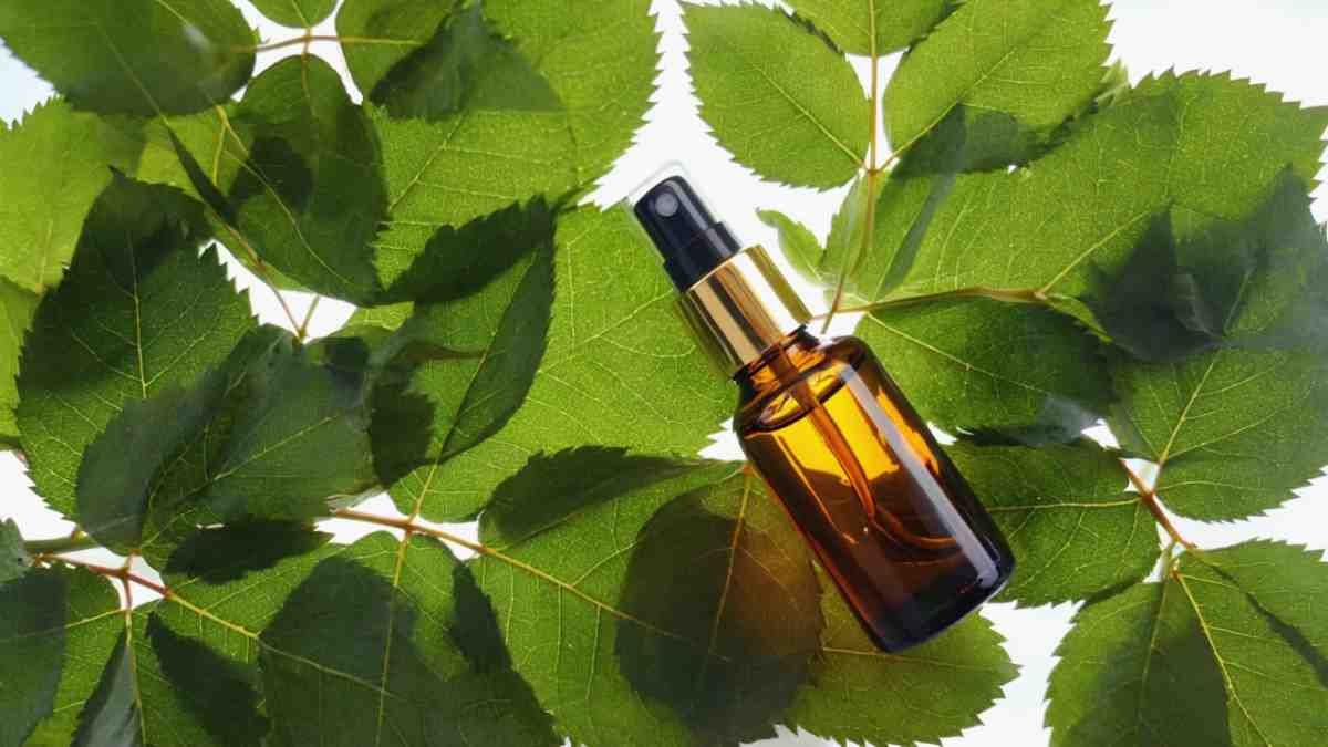 Pruning – Shaping the Story