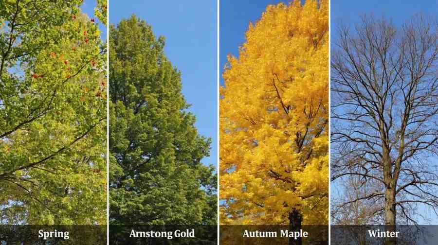 Seasonal Beauty