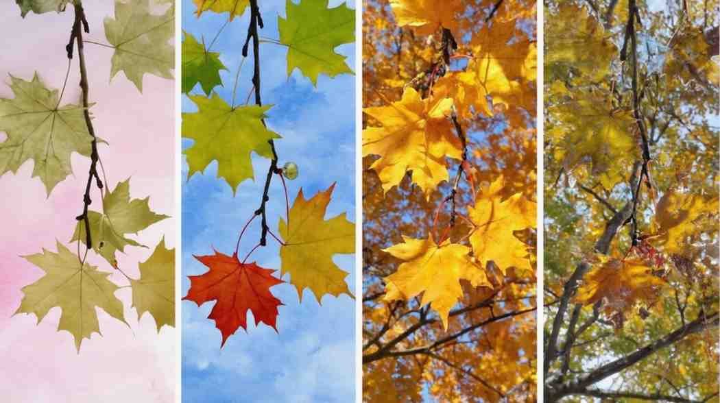 Seasons with Hot Wings What to Expect