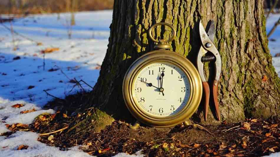Timing Isn’t Just Everything—It’s the Whole Show